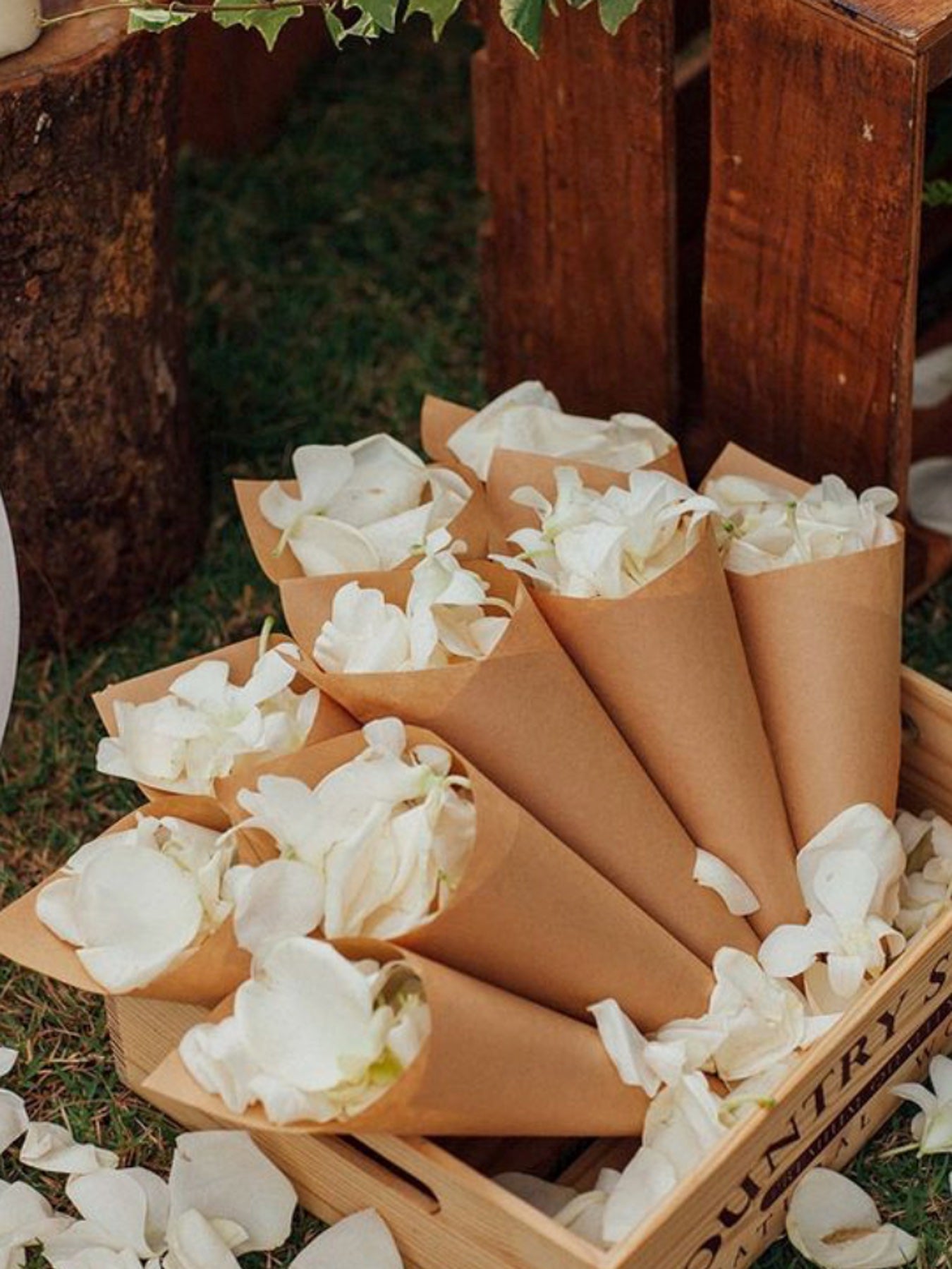 Petal Confetti
