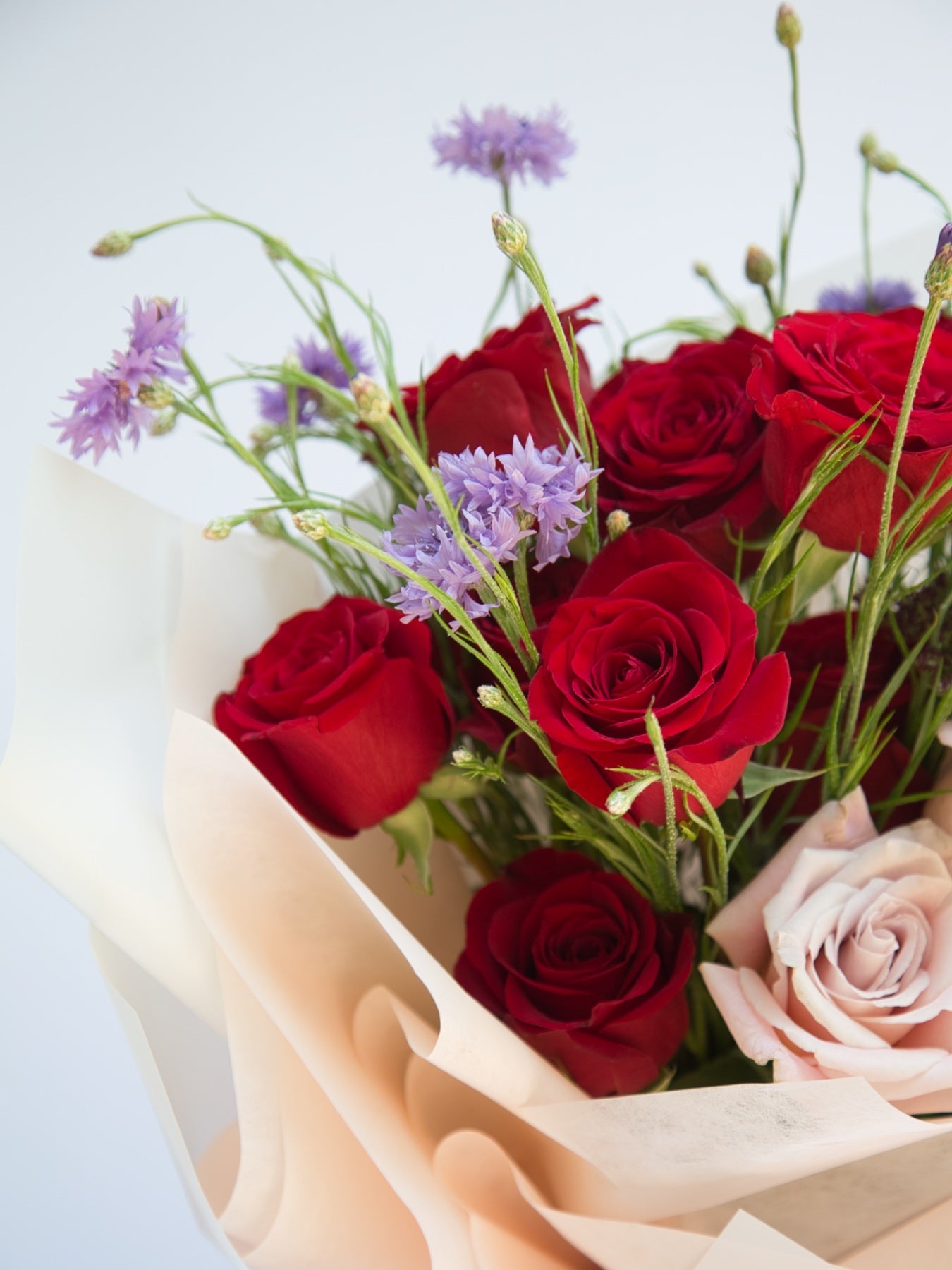 A Dozen Premium Rose Bouquet