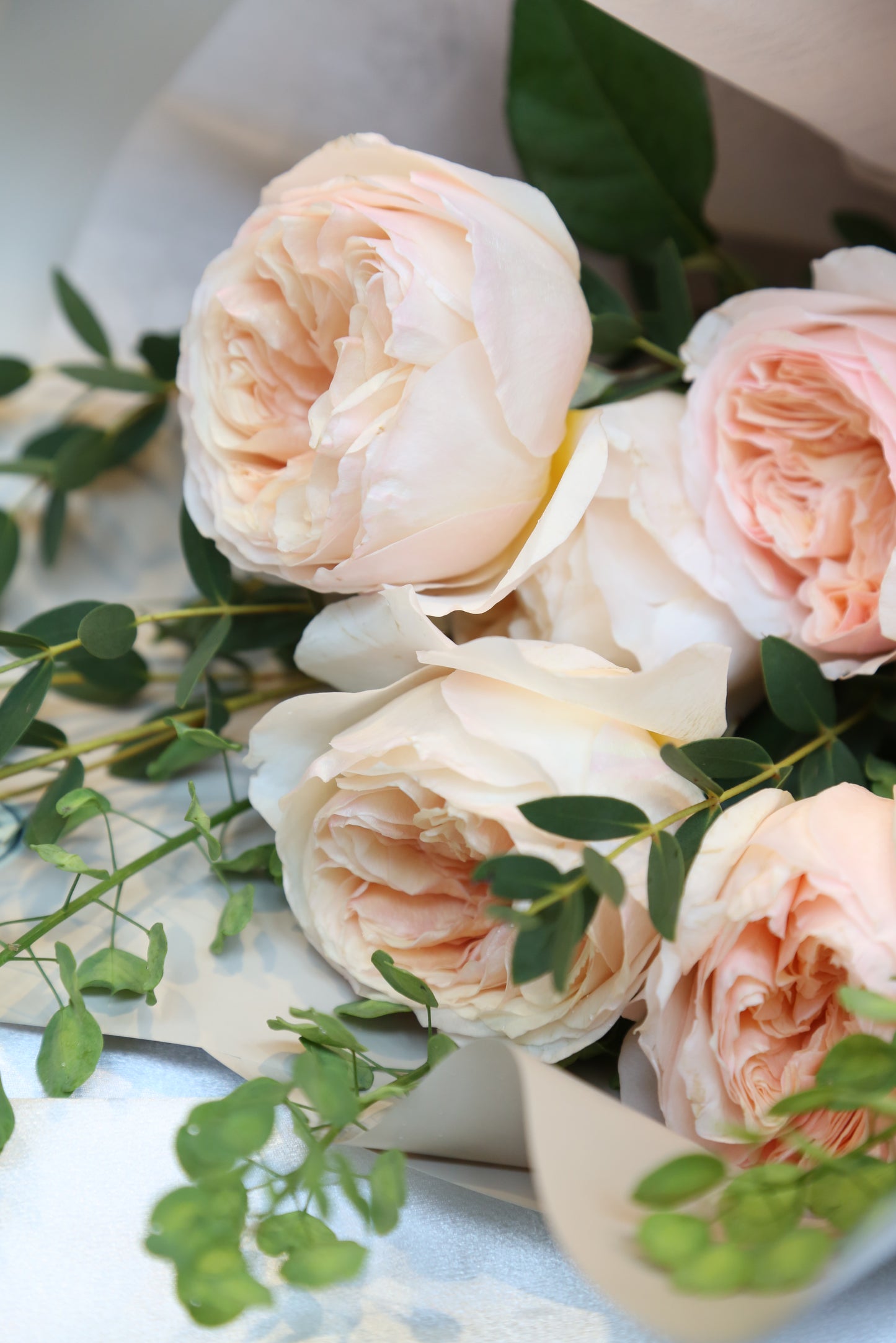 Garden Roses