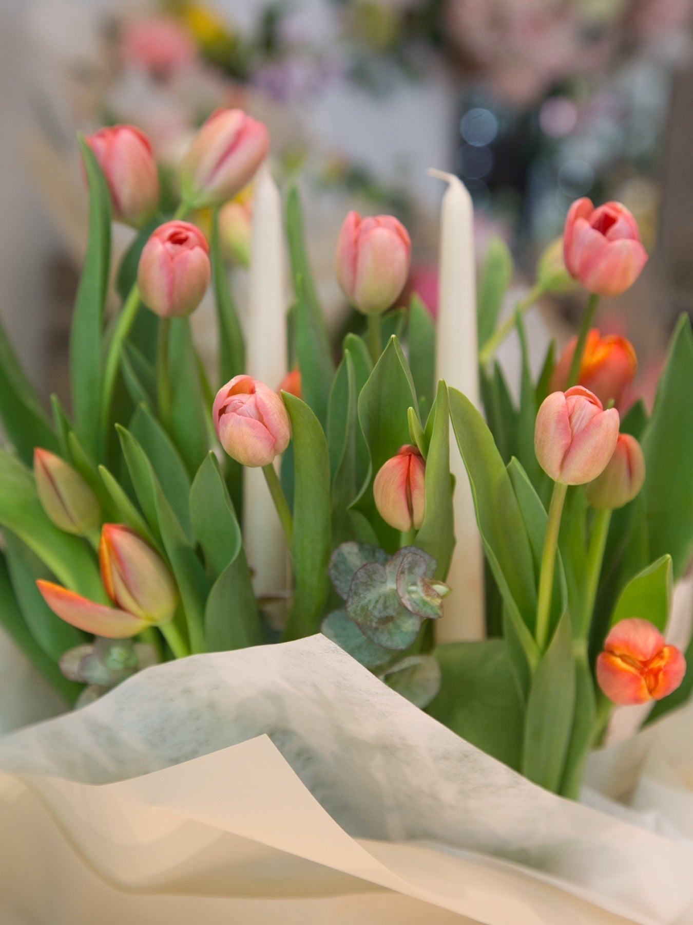 Mama's Tulips